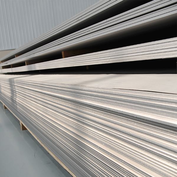Over-sized Titanium Plate